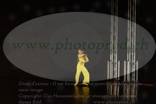 ref. photo 3211890