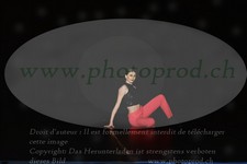 ref. photo 3212046