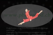ref. photo 3212763