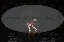 ref. photo 3213096