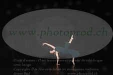 ref. photo 3213253