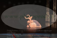 ref. photo 3213717