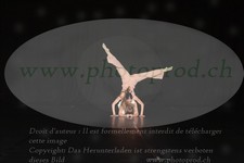 ref. photo 3213825