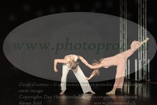ref. photo 3213835