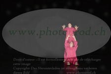 ref. photo 3214040