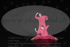 ref. photo 3214041
