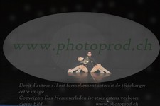 ref. photo 3214113