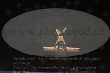 ref. photo 3214116