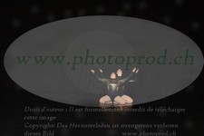 ref. photo 3214120