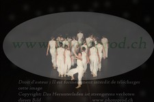 ref. photo 3215032