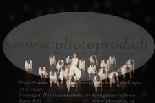ref. photo 3215073