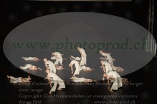 ref. photo 3215097