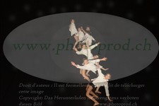 ref. photo 3215277