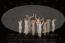 ref. photo 3215321