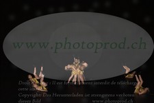 ref. photo 3215422