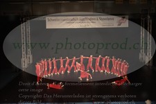 ref. photo 3215801