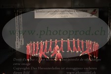 ref. photo 3215802