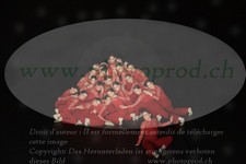 ref. photo 3215835