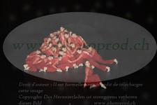 ref. photo 3215837