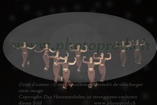 ref. photo 3216118