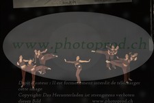 ref. photo 3216156