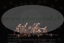 ref. photo 3216164