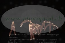 ref. photo 3216174