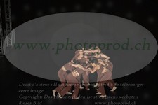 ref. photo 3216207