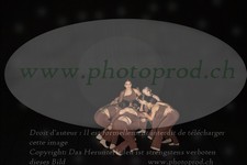 ref. photo 3216208