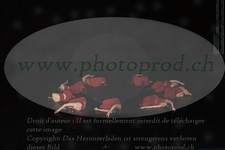ref. photo 3216328