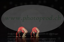 ref. photo 3216696