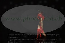 ref. photo 3216734