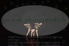 ref. photo 3216834