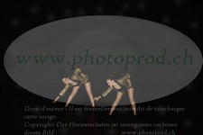 ref. photo 3216870