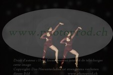 ref. photo 3217081