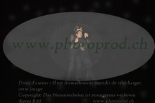 ref. photo 3217225