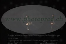 ref. photo 3217238