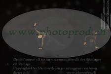 ref. photo 3217239