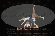 ref. photo 3217413