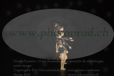 ref. photo 3218072