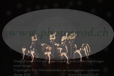 ref. photo 3218509