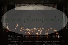 ref. photo 3218526