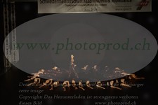 ref. photo 3218553