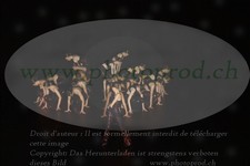 ref. photo 3218554