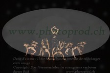 ref. photo 3218563