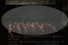 ref. photo 3218575