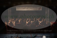 ref. photo 3218597