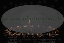 ref. photo 3218612