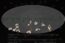 ref. photo 3218689