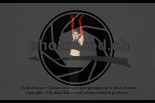 ref. photo 3634780